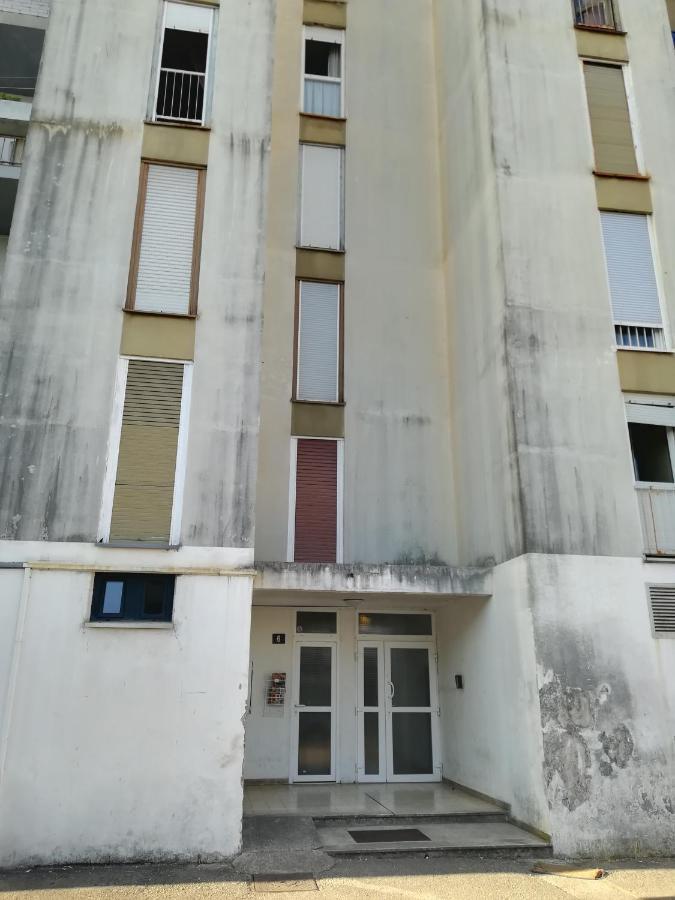 Ryanair'S Urban Flat In Zadar-Kolovare Beach Eksteriør billede
